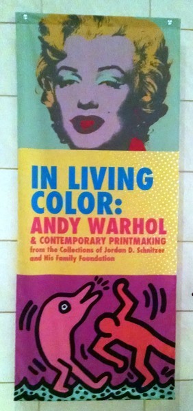 Andy Warhol In Living Color