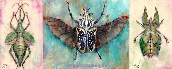 Garrott Designs Illustrations Insects