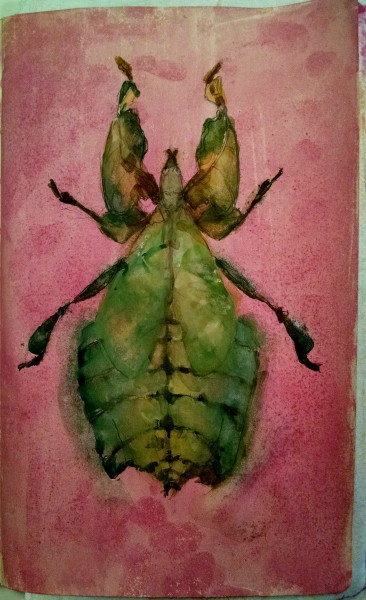 Leaf Bug Painting 1