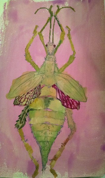Leaf Bug painting illustration1