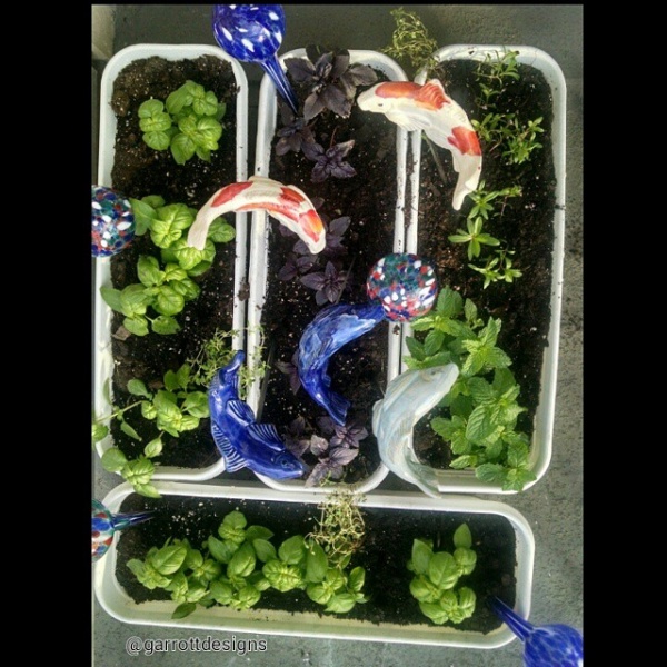 Fish in The Garden