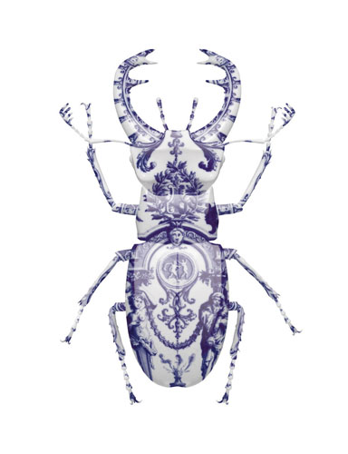 Magnus Gjoen Stag Beetle Delft Art