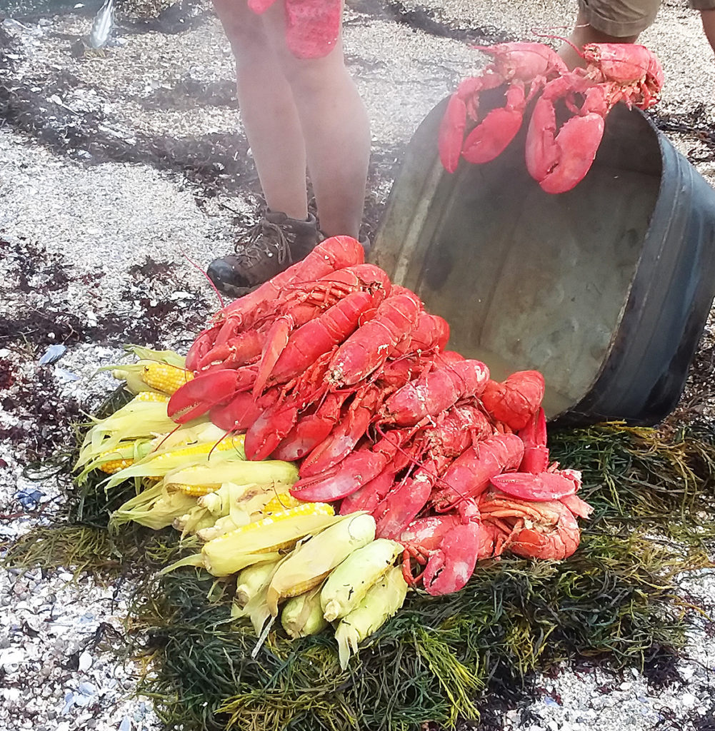 Lobster Bake Rockland Maine Russ Island Stephen Taber