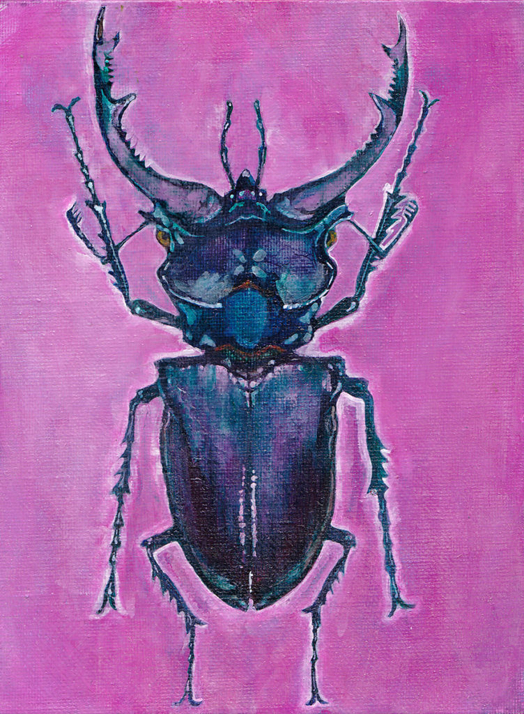 Pink Stag Beetle Interior Decor
