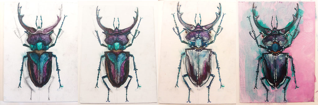 Painting Process Pink Stag Beetle