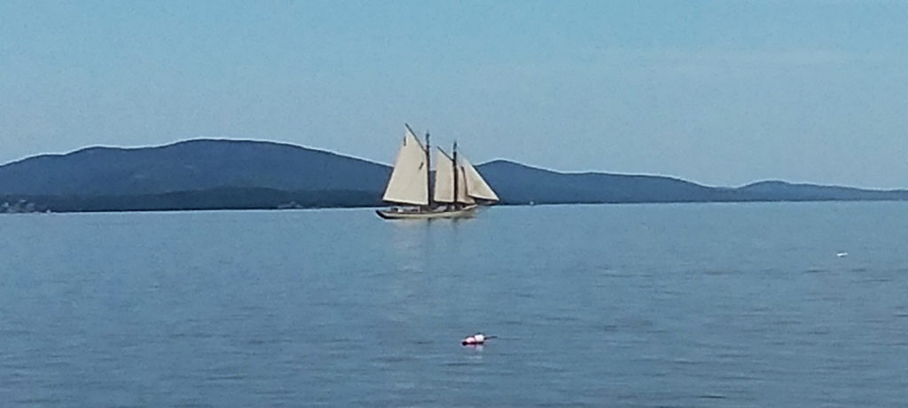 Sail Boat Watercolor Stephen Taber