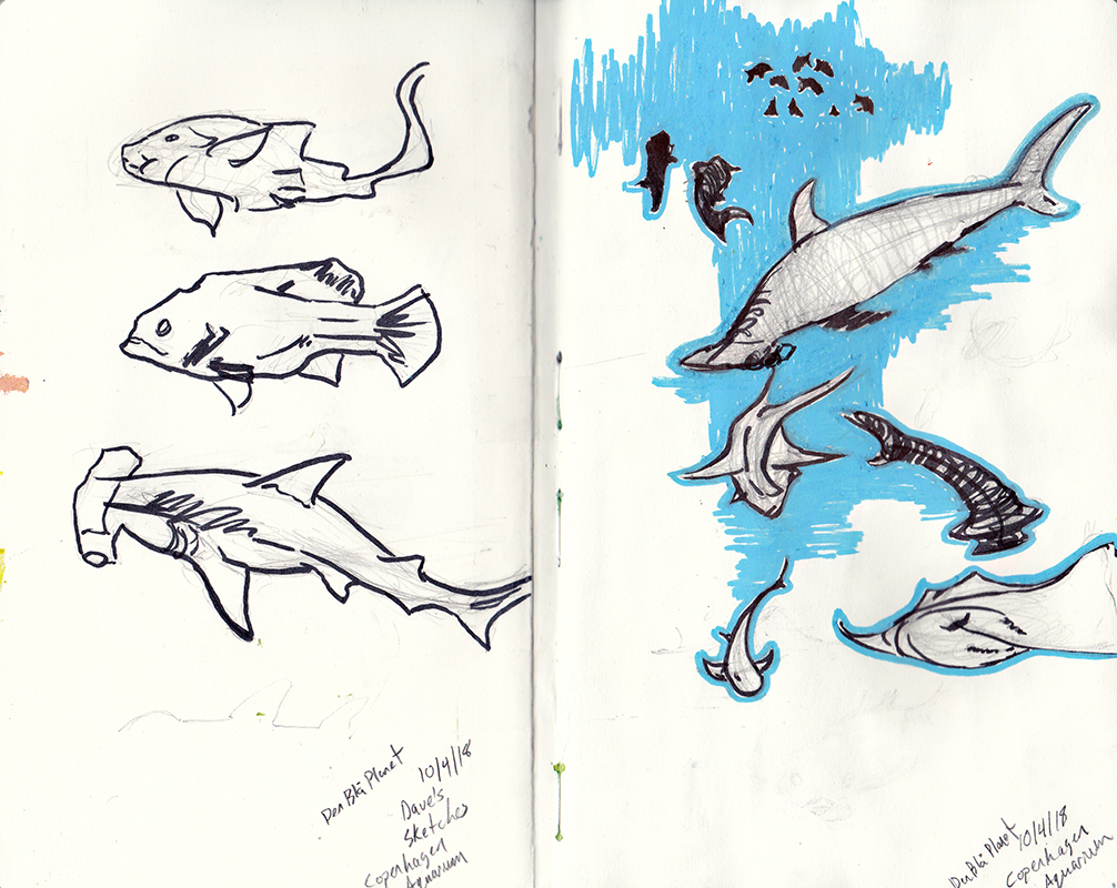 Sketching Architecture Design Copenhagen Denmark Art Culture Urban Planning Sustainability Aquarium