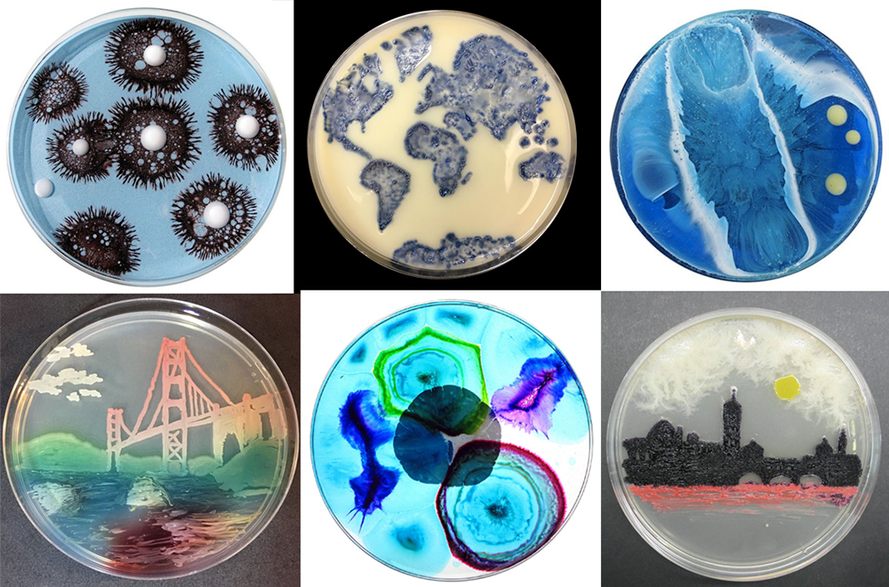 Bacteria materoal ecology design architecture 3d printing pandemic art