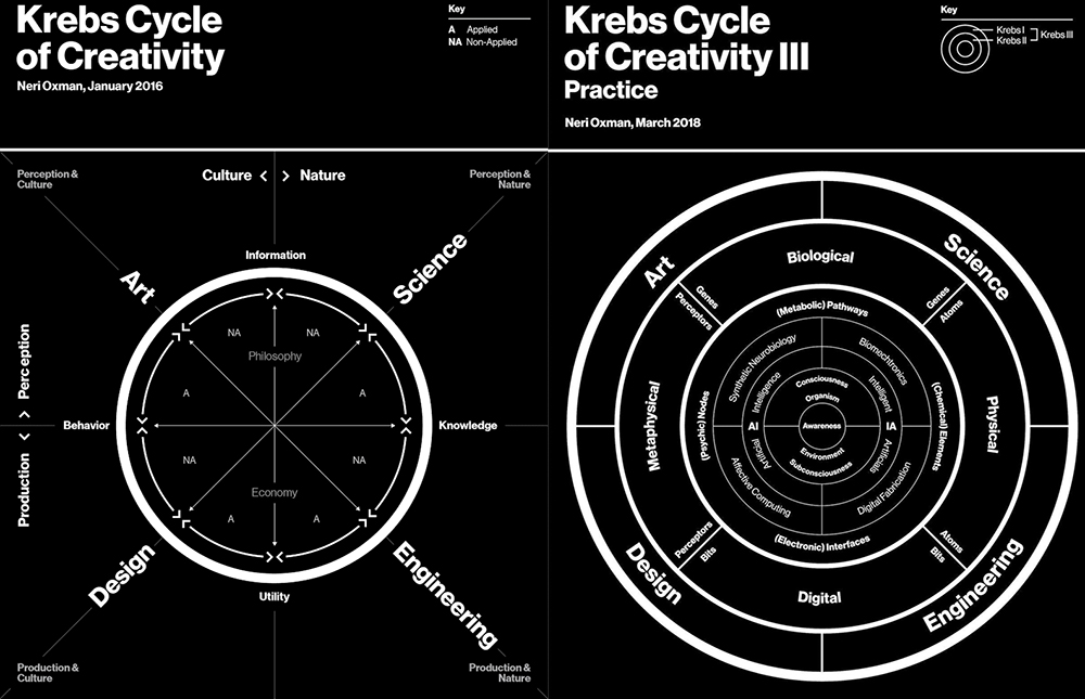 Neri Oxman Krebs Cycle of Creativity Science Art Design Engineering 
