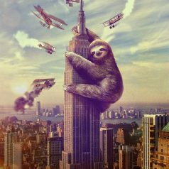 The Sloth: A Model for Urban Design
