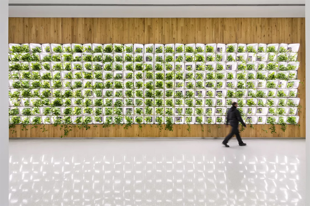 SOM bacteria in the built environment architecture world ecosystem bio walls green space