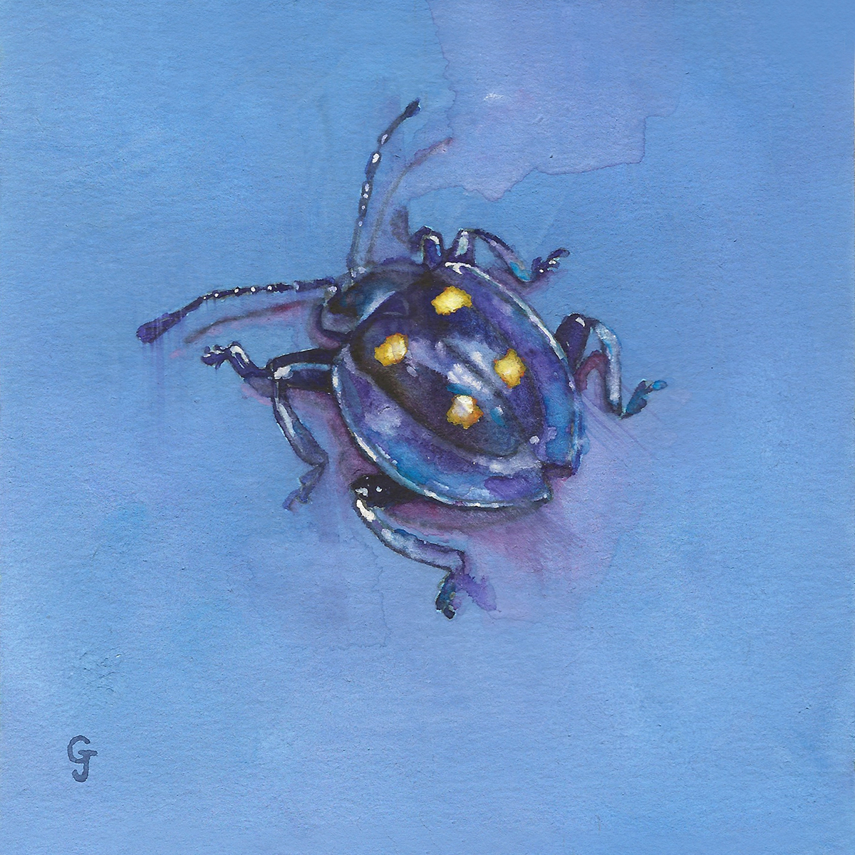 Big Little Bugs Purple Bug insect art interior decor hospitality paintings home decor