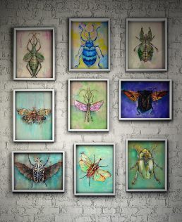 Insect Botanical Art Collection Paintings of Bugs