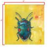 scientific illustration color design art original paintings insects art design