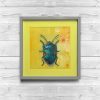 commercial and boutique hotel art original paintings insects art design