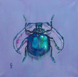 Cyclopeplus Lacordairei "Purple Bug" Wrapped Canvas Original Painting