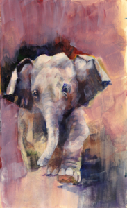 Baby Elephant 1